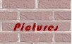brick_button_pictures.jpg (3200 bytes)