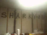 sharkys_mark_F.jpg (28884 bytes)