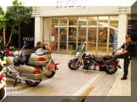 P1010123_500.JPG (59333 bytes)