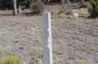 Dsc03248.jpg (36988 bytes)