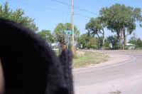 Dsc03368.jpg (25160 bytes)