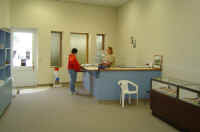 Dsc03488.jpg (19171 bytes)