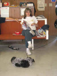 IMG_0931.jpg (56822 bytes)